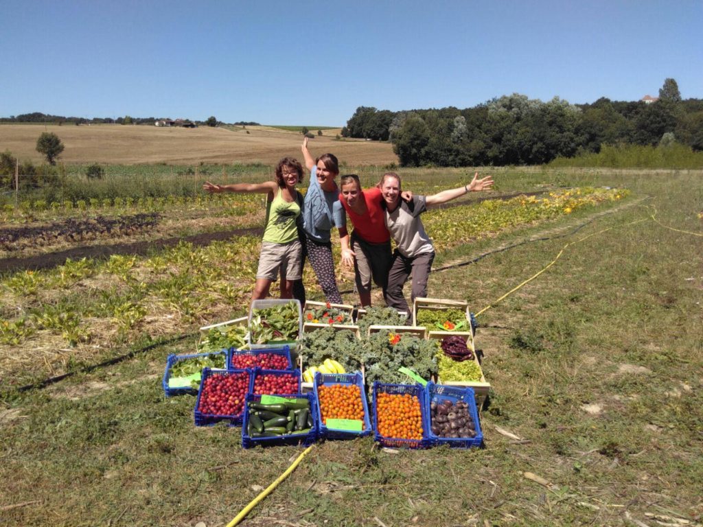 Happy Farm Lower Hamlet Plum Village