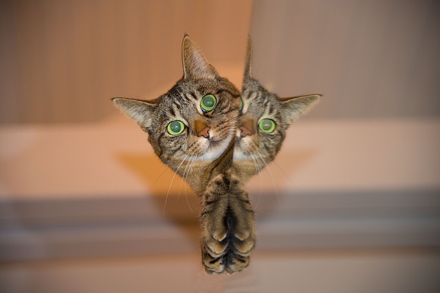Mirror meditation: it’s harder than it looks.