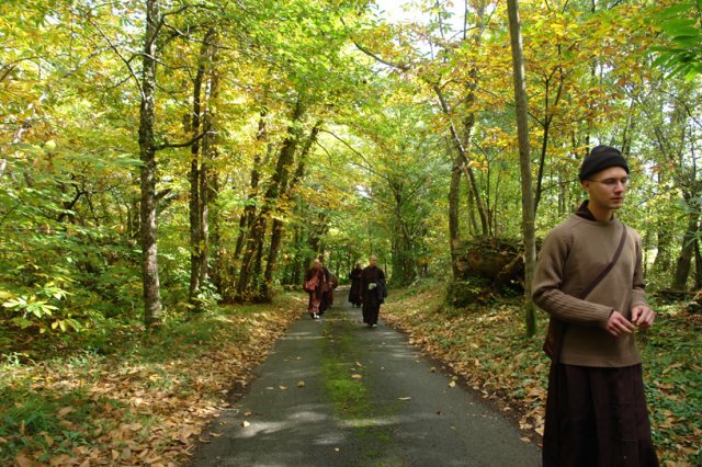 Chestnut Hunting