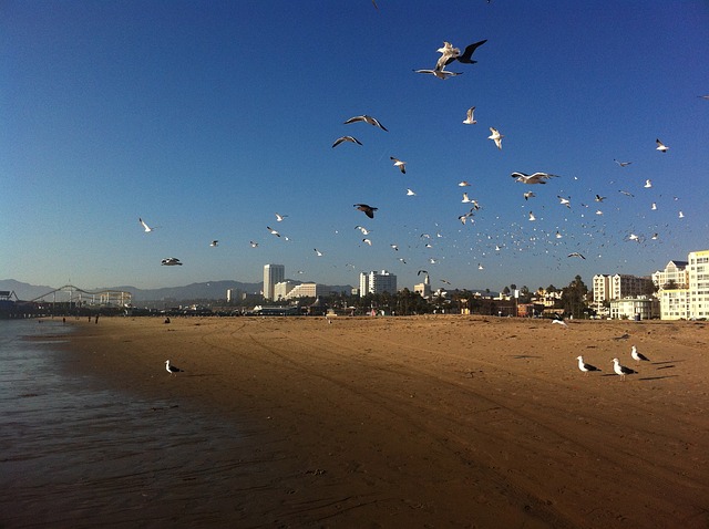 Wake Up House in Santa Monica