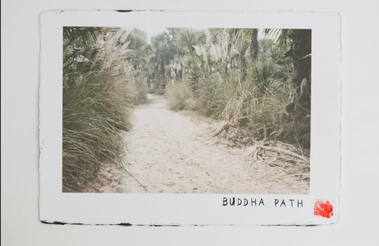 The Buddha Path
