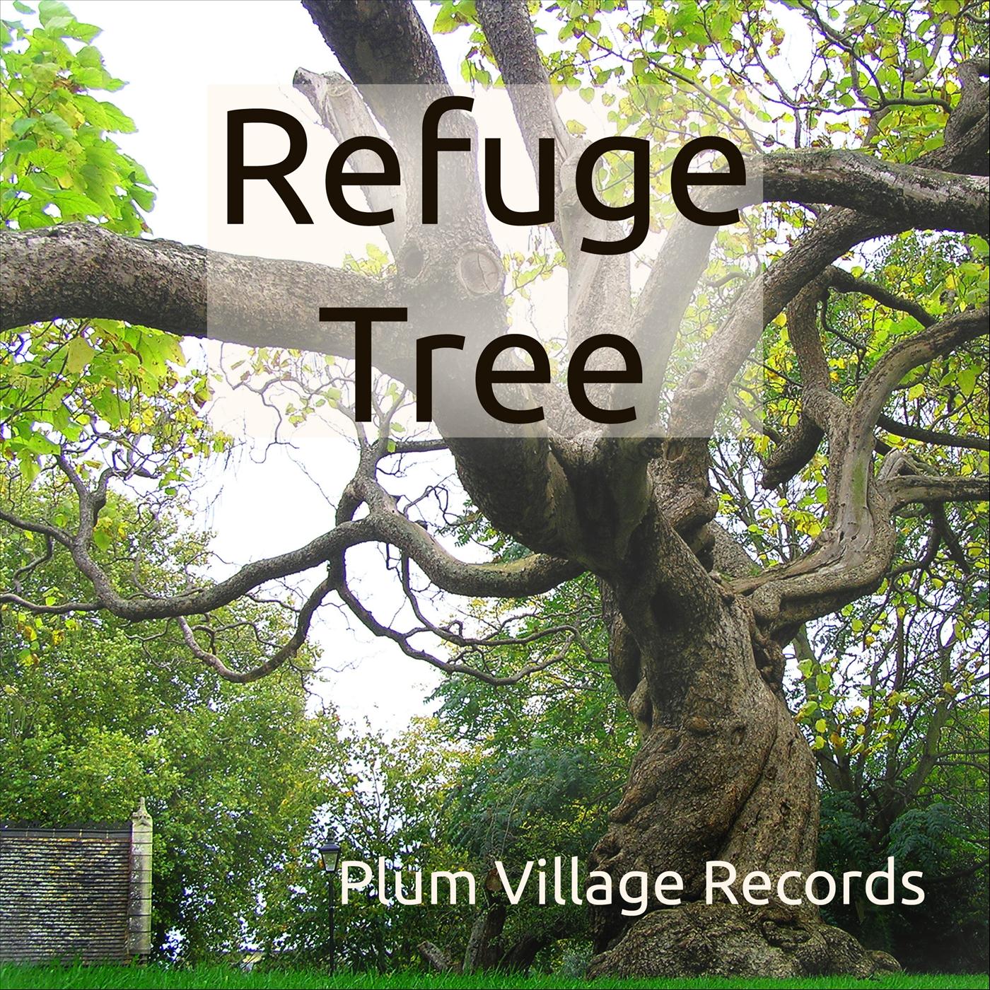 Refugee Trees