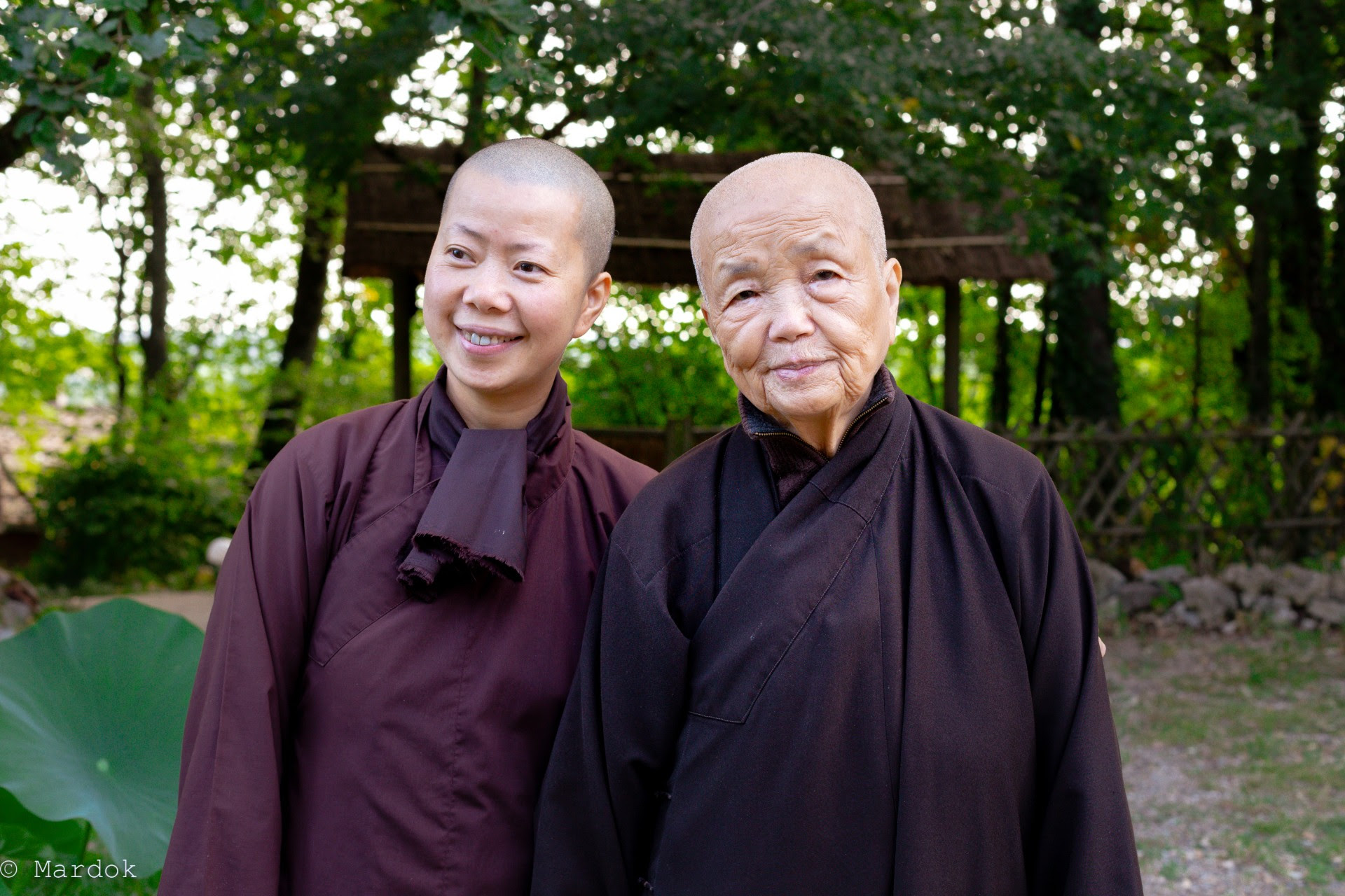 A message from Sister Chan Khong