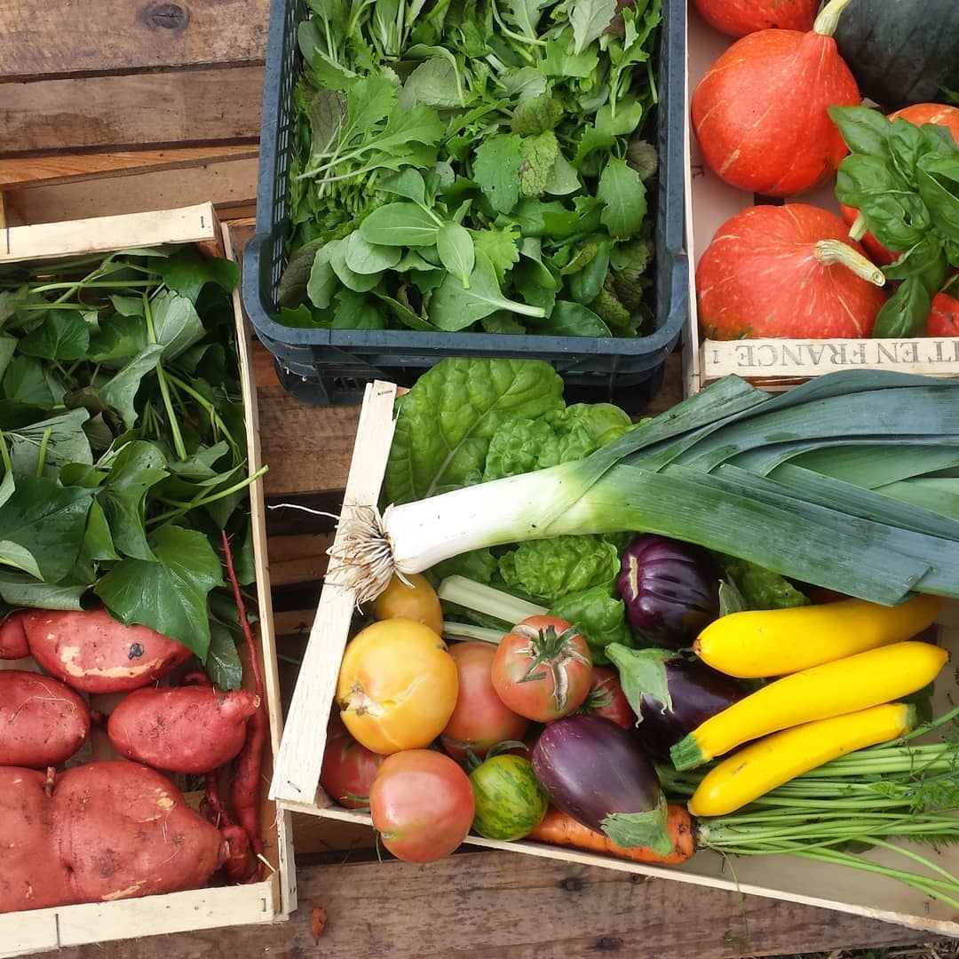 Food For The Future