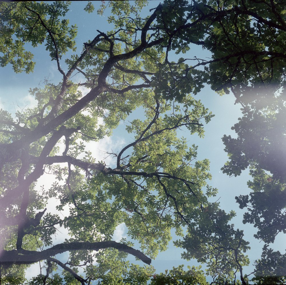 Opening My Heart to Different Perspectives