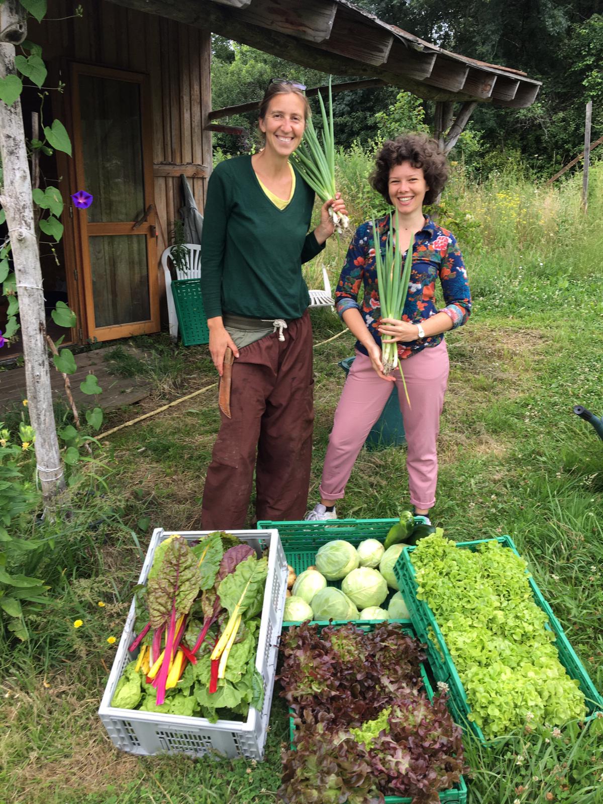 Happy Farm of Lower Hamlet is Recruiting for 2022