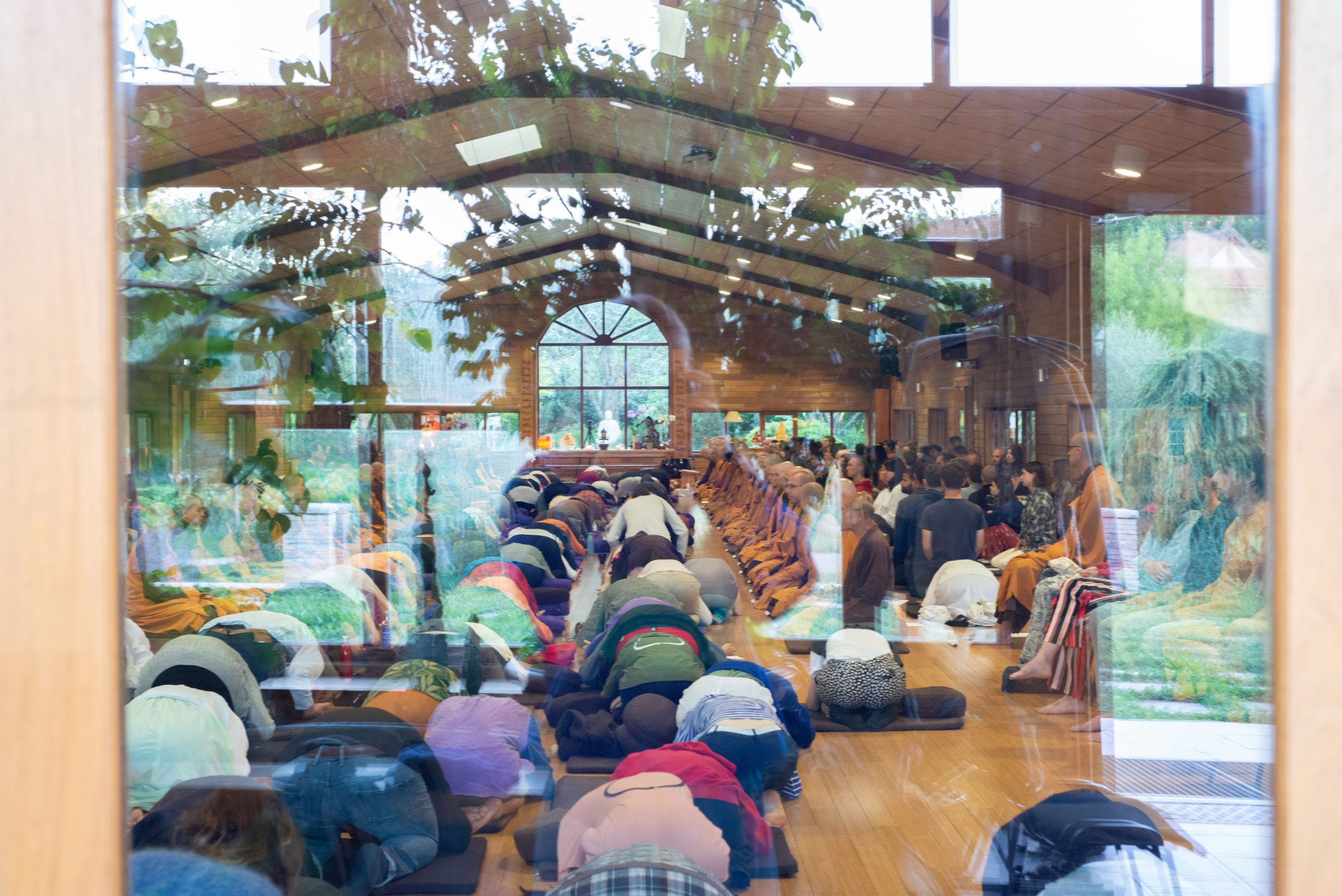 12 Vignettes from Wake Up Humanity Retreat 2022